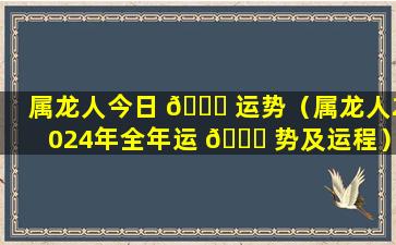 属龙人今日 💐 运势（属龙人2024年全年运 🕊 势及运程）